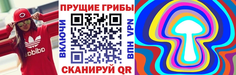 Псилоцибиновые грибы мицелий  Купить  Холм 