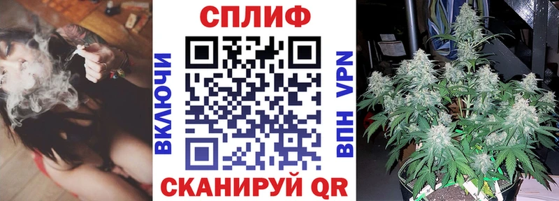 Шишки марихуана AK-47  Купить где  Холм 